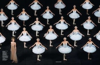 Swan Lake Fashion Image 2