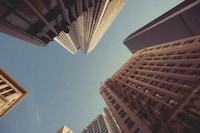Ant-Eye-View Photography Image 8