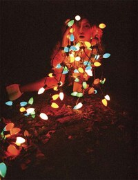 Revealing Tree Light Spreads Image 2