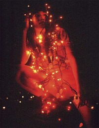 Revealing Tree Light Spreads Image 4