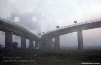 Digitally Integrated Gametography Image 2