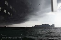 Digitally Integrated Gametography Image 8