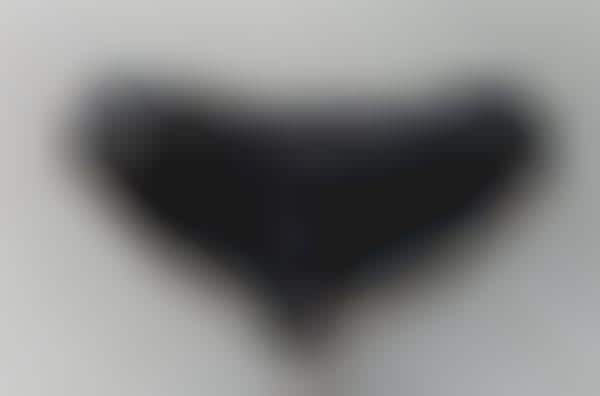 Molded Leather Lingerie