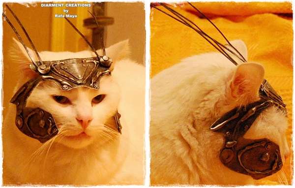 Medieval Feline Attire