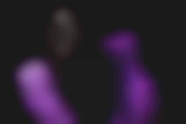 Purple Plume Photography