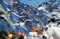 Crazy Collage Photography