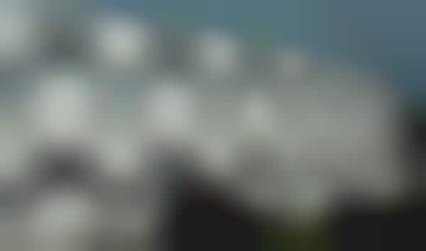 Dancing Building Facades