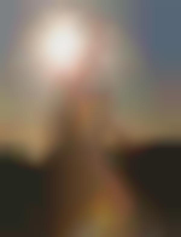 Shimmering Sunset Shoots