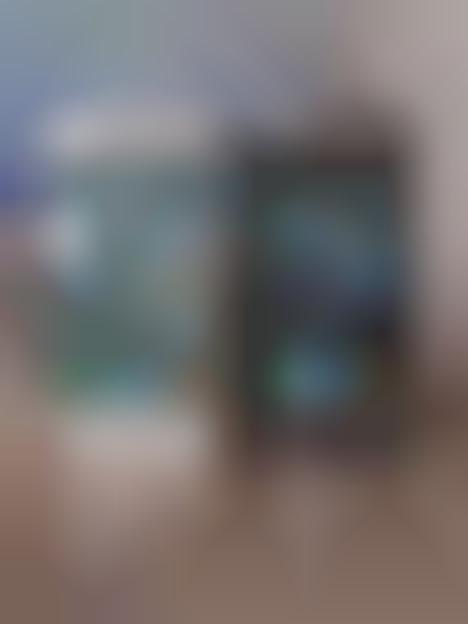 Transparent Cellular Mods