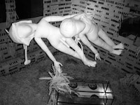 Strange Stuffed Art Installs Image 2