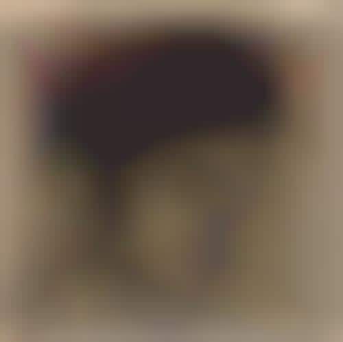 Defaced Album Art