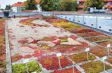 Spectacular Green Roofs