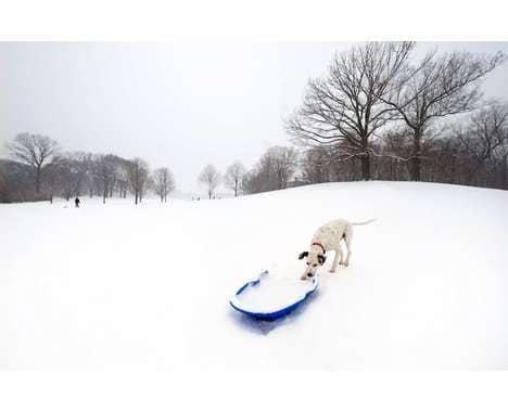 33 Breathtaking Winter Wonderlands