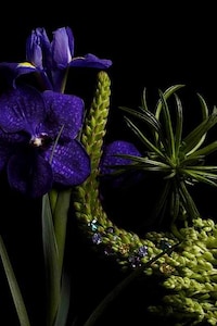 Crystallized Botanical Calendars Image 2