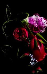 Crystallized Botanical Calendars Image 5