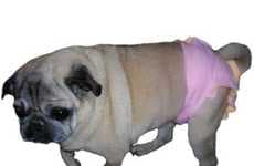 66 Canine Fashion Innovations