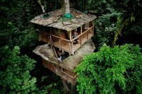 Residential Treehouses (UPDATE)