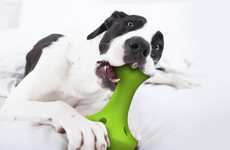 Treat-Dispensing Dog Toys