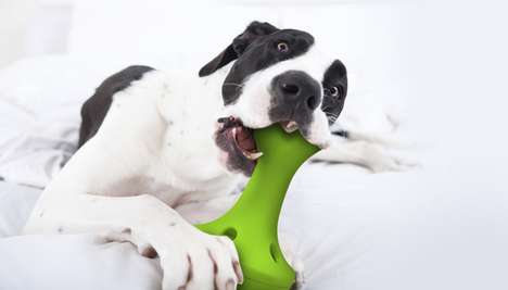 Treat-Dispensing Dog Toys