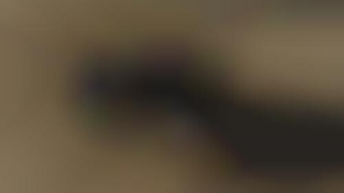 Video Clue Virals