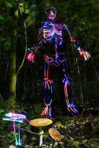 Skeletal Light Paintings Image 3