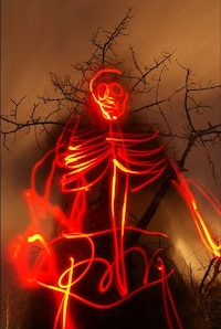 Skeletal Light Paintings Image 4