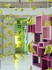 Snazzy Digital Shelving Image 4