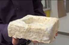 Magical Mycelium Molds