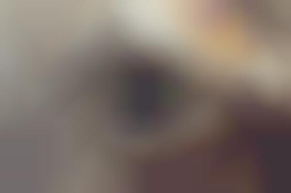 Textured Eye Photography