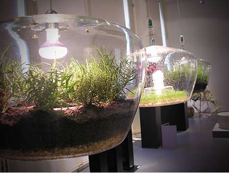 Illuminating Plant Habitats