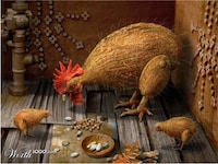Extraordinary Edible Animals Image 4