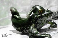 Extraordinary Edible Animals Image 7