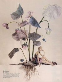 Zodiac Fashion Shoots Image 5