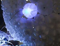 Enlightening Social Media Fixtures Image 4