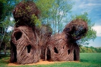 Living Tree Houses (UPDATE) Image 4