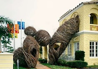Living Tree Houses (UPDATE) Image 5
