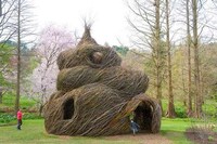 Living Tree Houses (UPDATE) Image 7