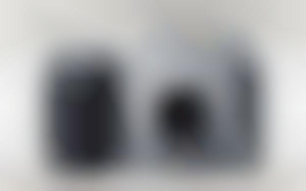 Sleek Silver SLRs