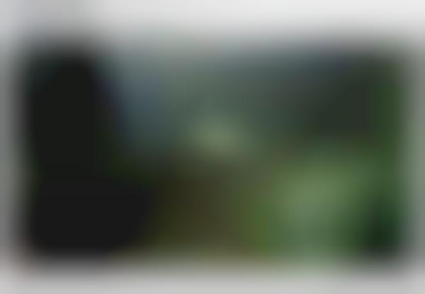 Web-Invading Car Ads (UPDATE)