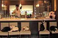 Pet Store Cafes