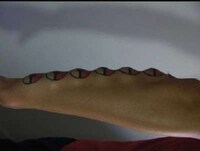Bumpy Body Modifications Image 3