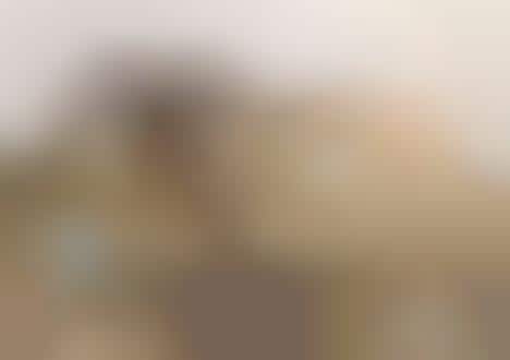 Sound-Proofing Proclamations