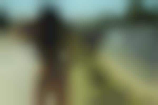 Suggestive Feminine Photography