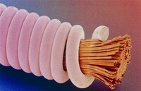 Amazing Microscopic Photography Image 5