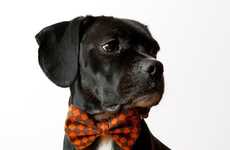 Formal Dog Fashion