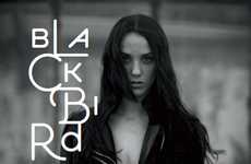 Mysterious Field Photography