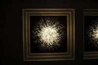 Glass-Crafted Chandeliers Image 6