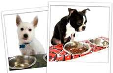 Funky Pet Feeders