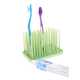 Toothbrush Jungles Image 3