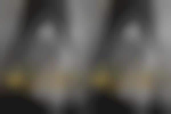 Adult Star Photo Documentaries